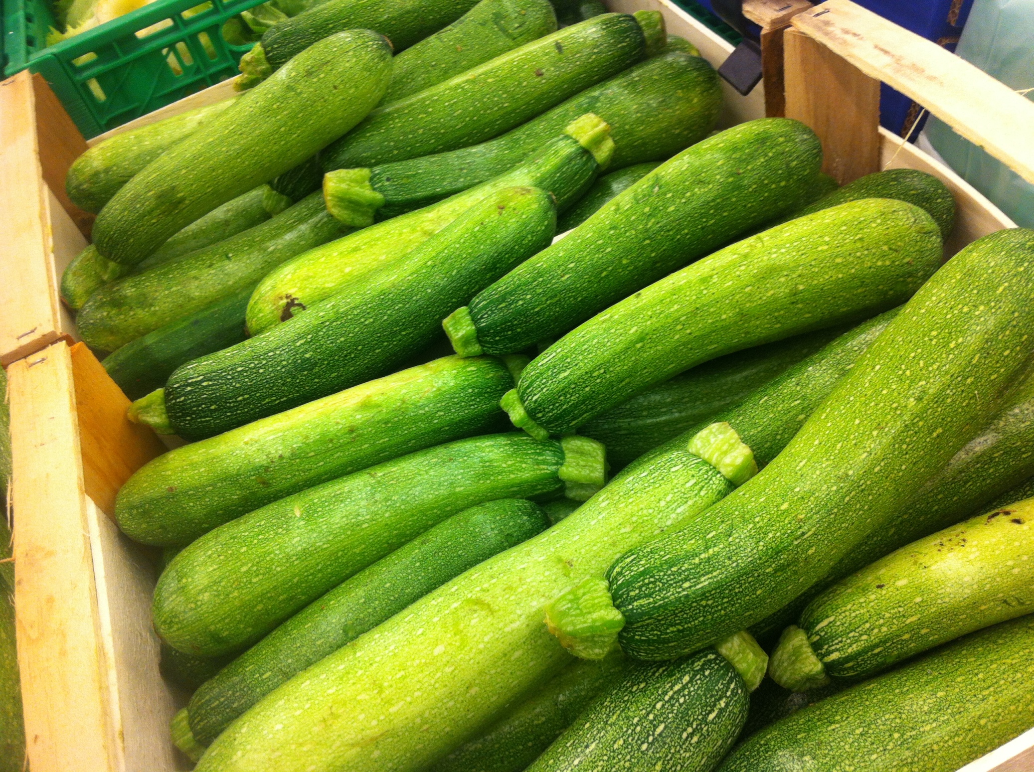 Zucchine, Italian staple food. It's in most dishes and grows everywhere.